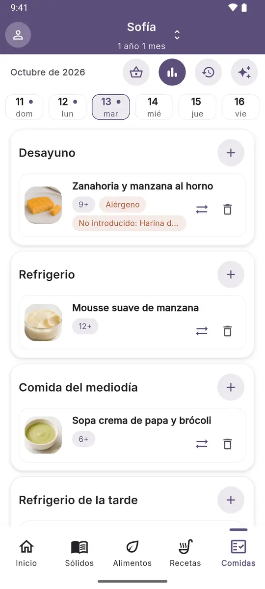 Plan de comidas del día: desayuno, refrigerio, comida del mediodía y refrigerio de la tarde