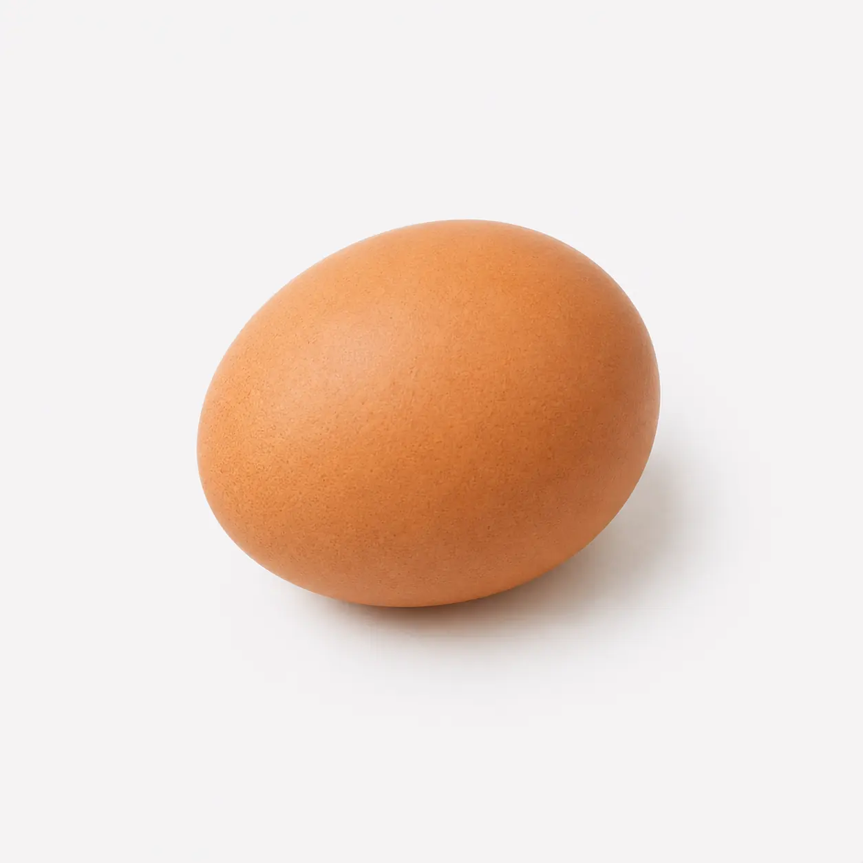 Egg