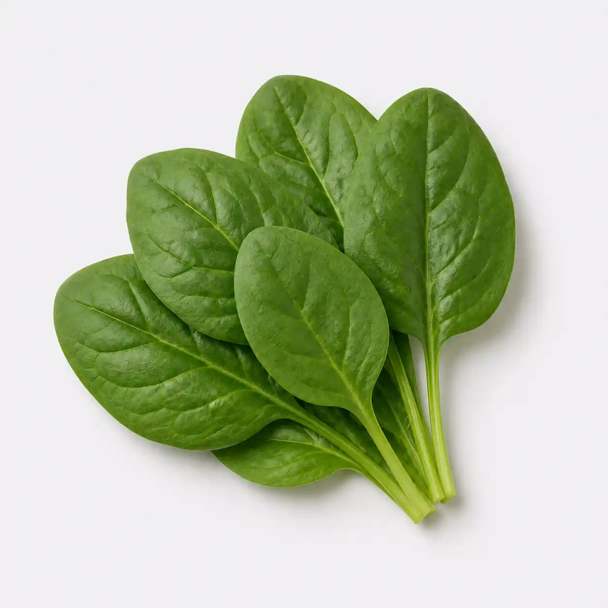 Spinach